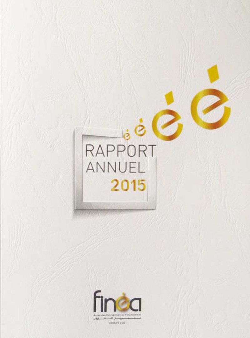 rapport 2015