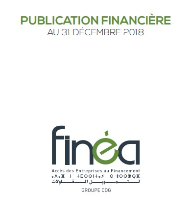 Publication financière au 31-12-2018