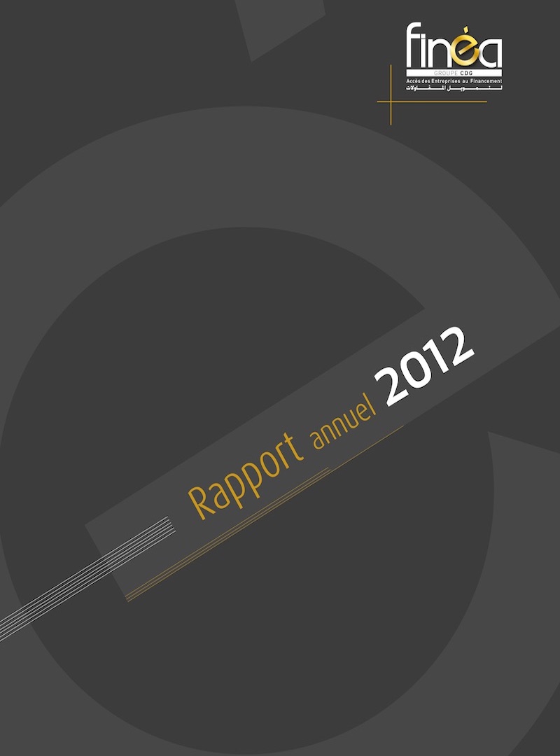 rapport 2012