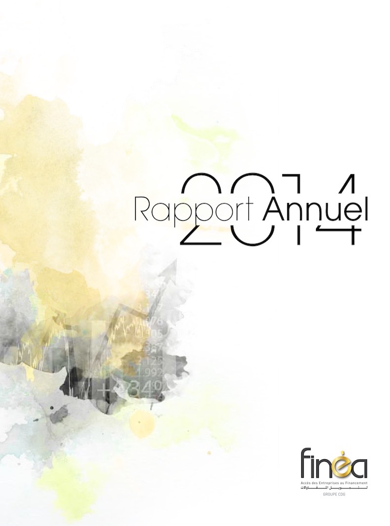 rapport 2014