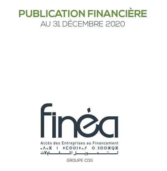 Publication financière au 31-12-2020