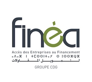 Logo finéa FR